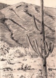 Along Bumble-Bee Road