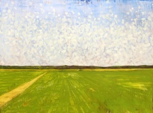 Goin up the country 2019 Oil