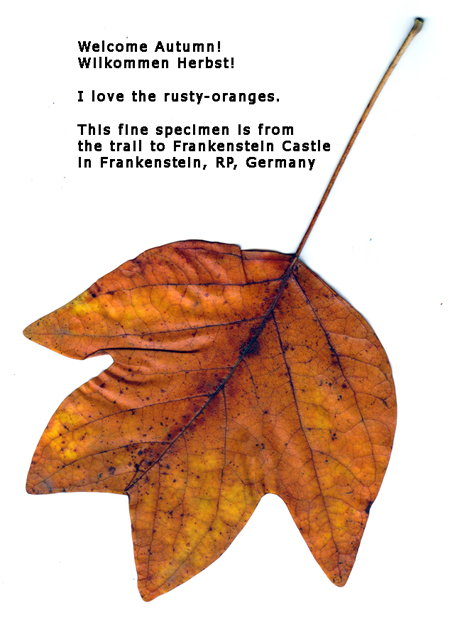 Welcome Autumn, Germany