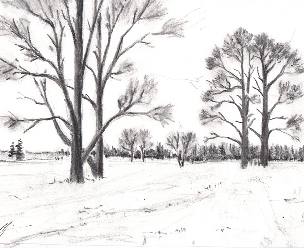 A drawing for Sarah