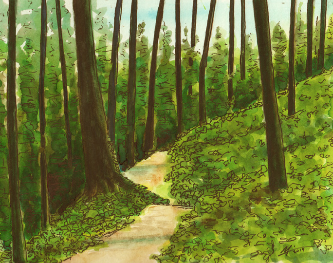 A view along Ridge Trail in Forest Park, Portland, Oregon
