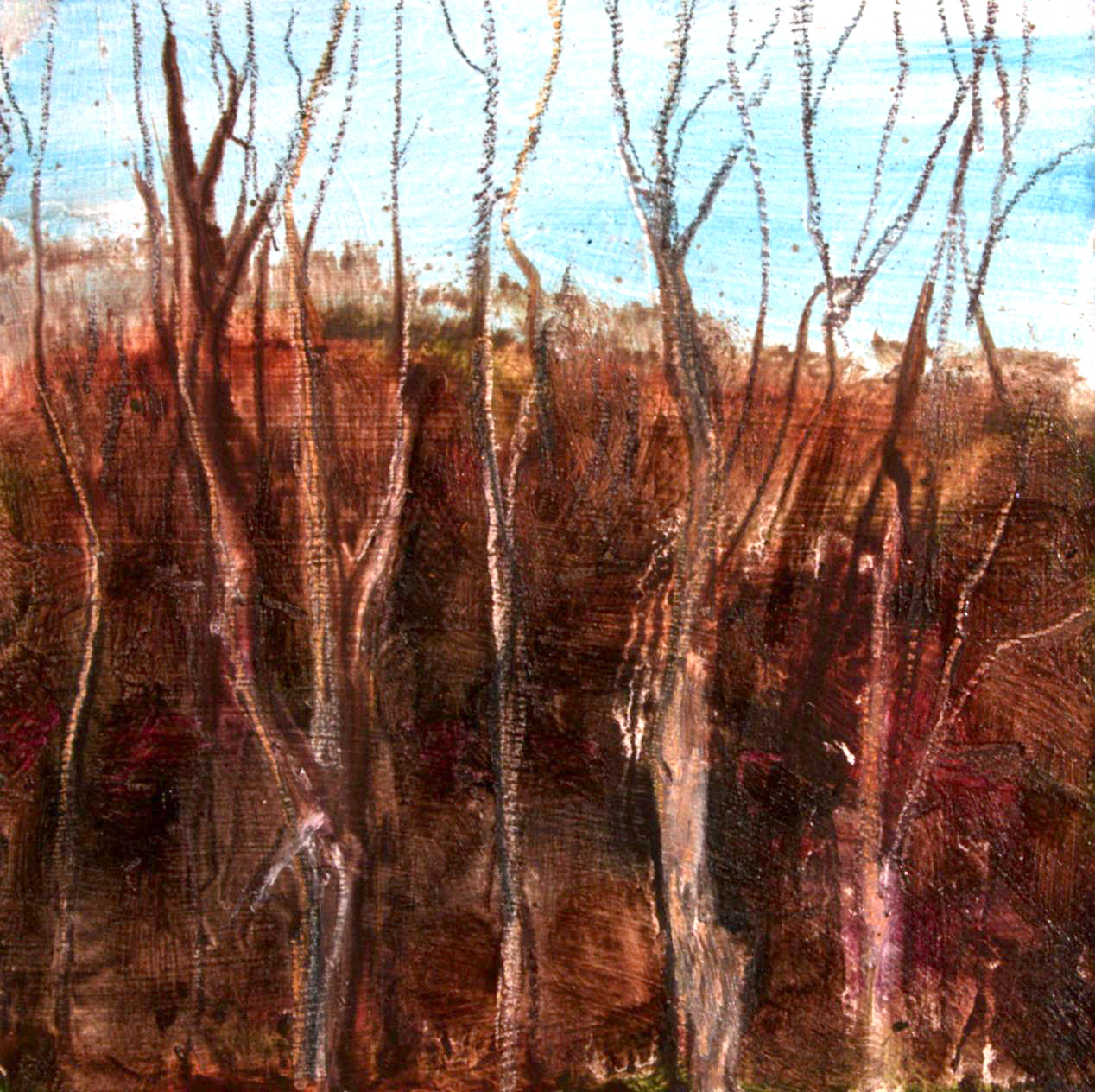 Earlier Spring8 – Woodbury CT
